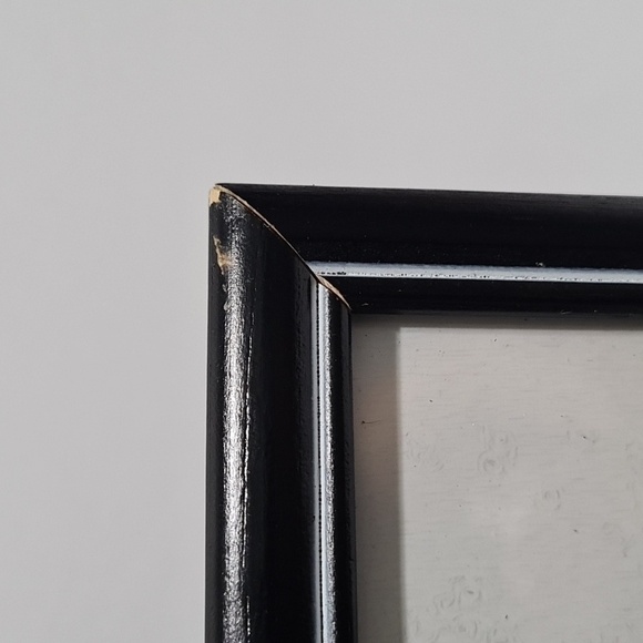 Painted Turtle Watercolor Oil Painting Framed Wildlife Photography Print - Picture 3 of 6